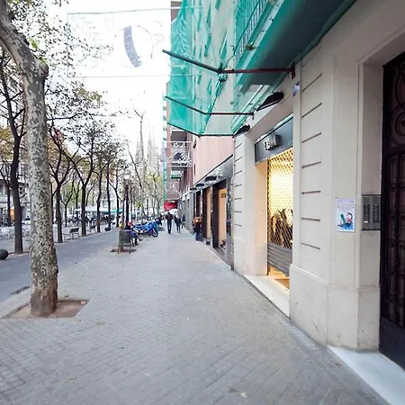 U-nique Gaudi Ii