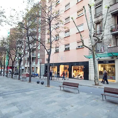 U-nique Gaudi Ii *